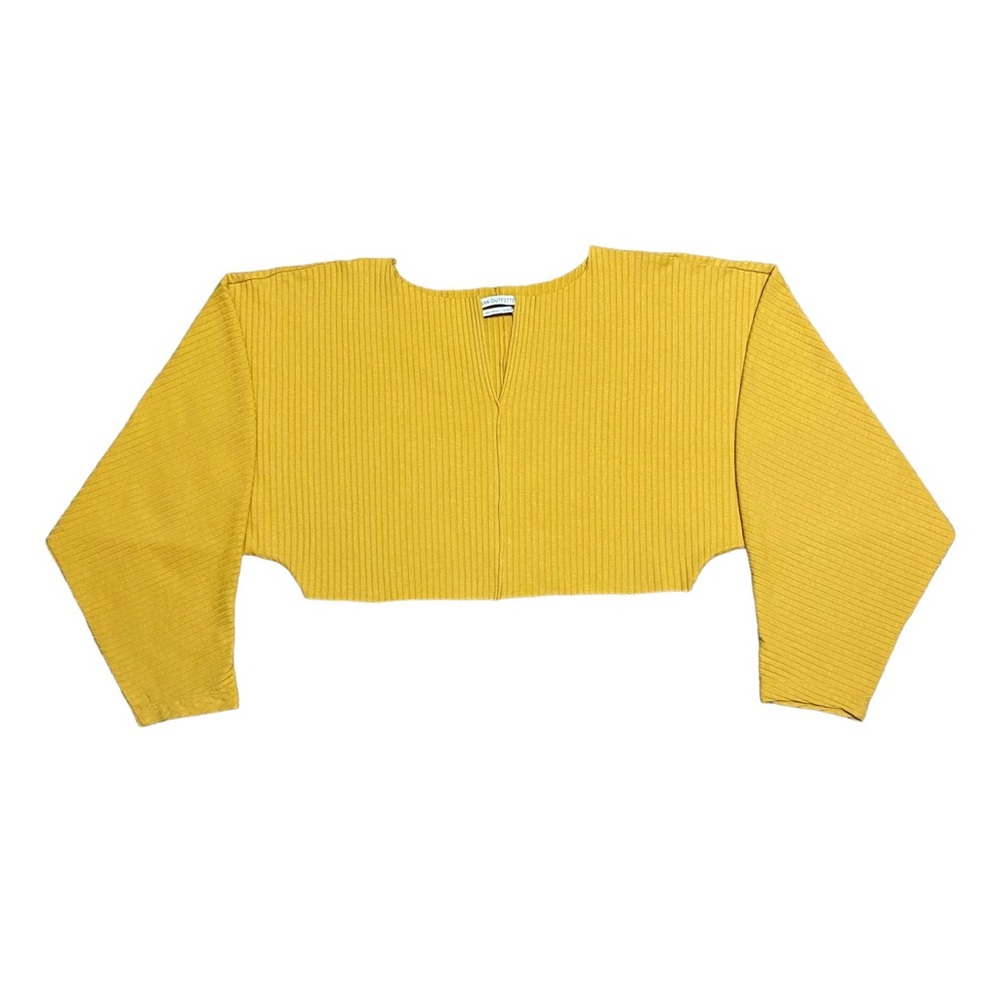 Urban Outfitters Ribbed Long Sleeve Crop Top